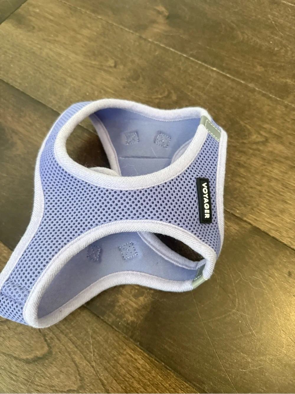 voyager harness low improve